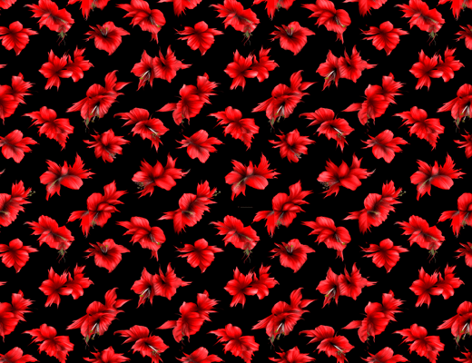 Patterns -Hibiscus Harmony